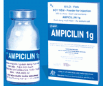 Hình ảnh Thuốc Ampicillin 1g