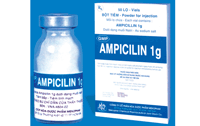 Hình ảnh Thuốc Ampicillin 1g