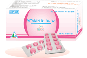 Hình ảnh Khoáng chất và Vitamin Vitamin B1B6B2