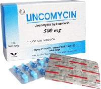 Hình ảnh Thuốc Lincomycin 500mg